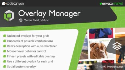Media Grid Overlay Manager-min