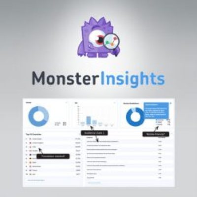 MonsterInsights-Pro-Google-Analytics-Premium-247x247-1