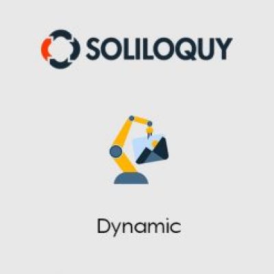 Soliloquy-Dynamic-Addon-247x247-1