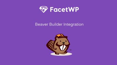 fxmarketasesoria-com-facetwp-beaver-builder-integration-min
